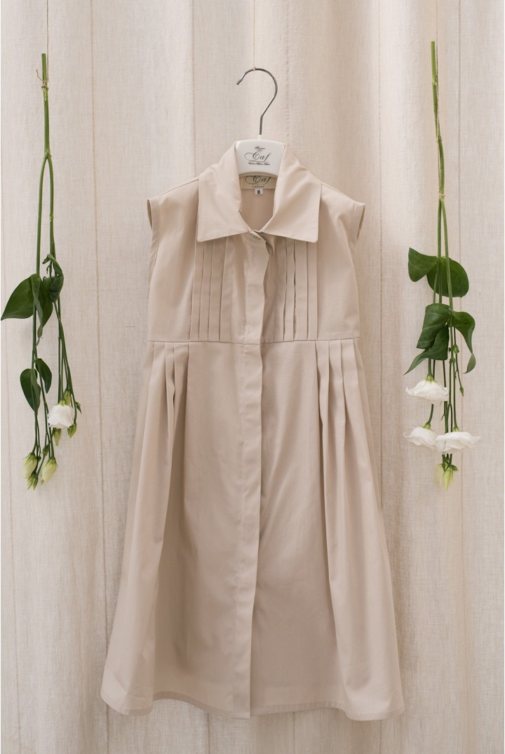 Taupe Pleated Chemisier