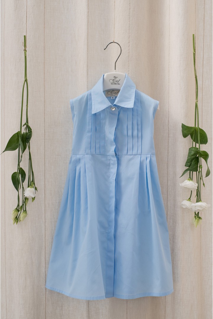 Light Blue Pleated Chemisier